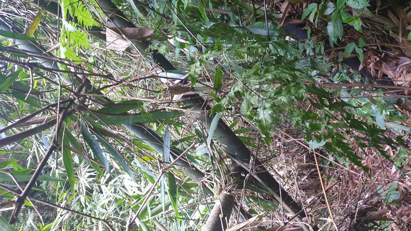 leboulement-de-terrain_2