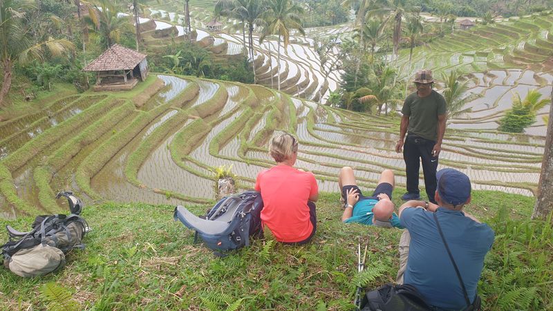 les-rizieres-de-belimbing_24