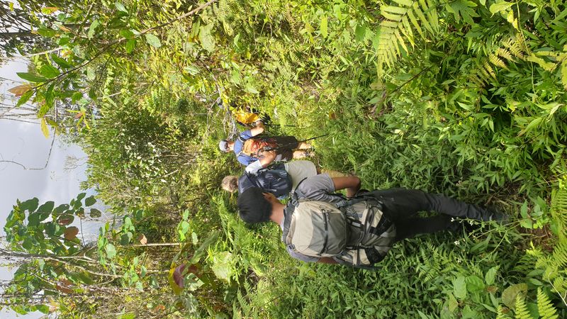 la-foret-tropicale_8