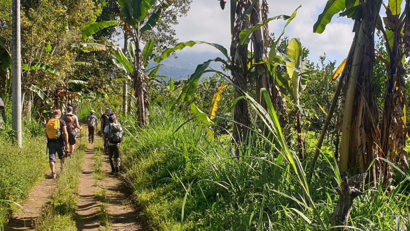 27-juillet-de-aoman-a-sebatu_3