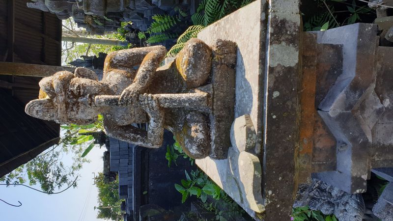 25-juillet-les-rizieres-de-pujungan-a-munduk_3