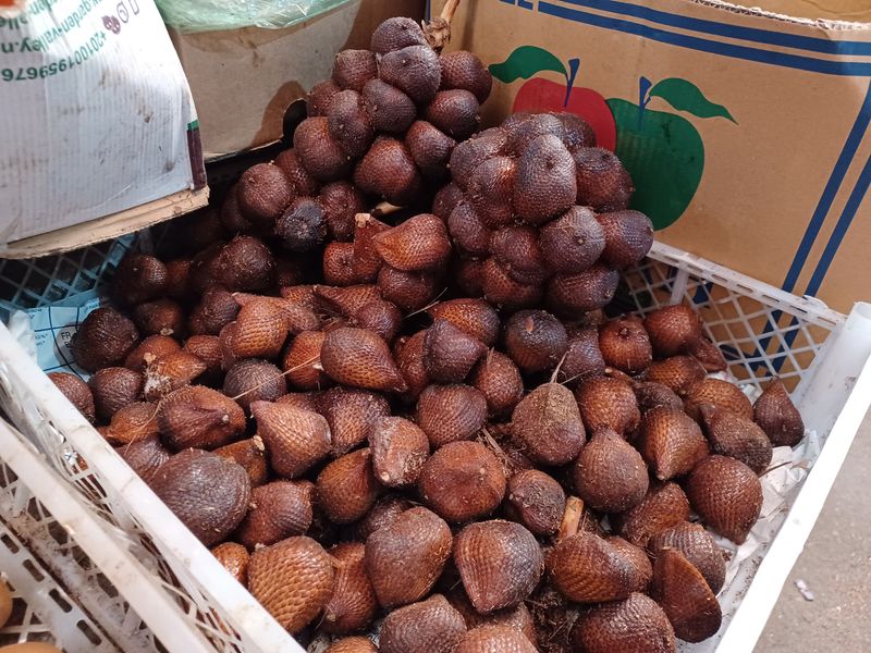 marche-local-de-panca-sari_8