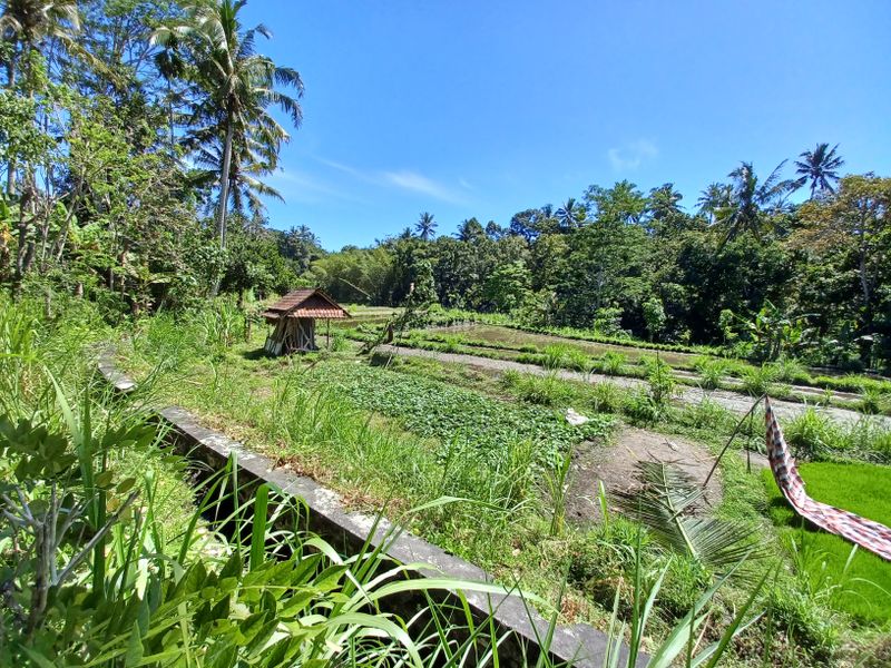 1-er-aout-des-rizieres-de-babi-aux-bains-royaux-de-tirtagangga_12