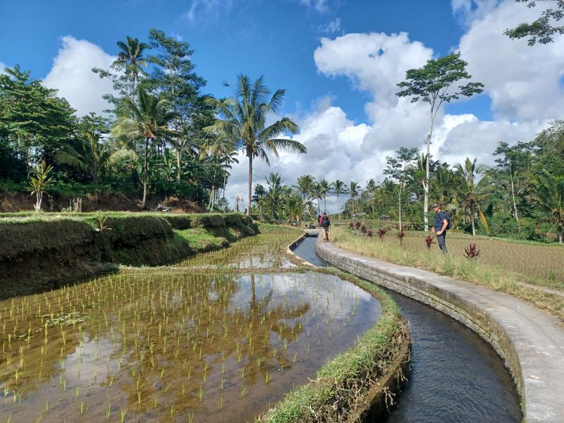 les-rizieres-de-sebatu_6