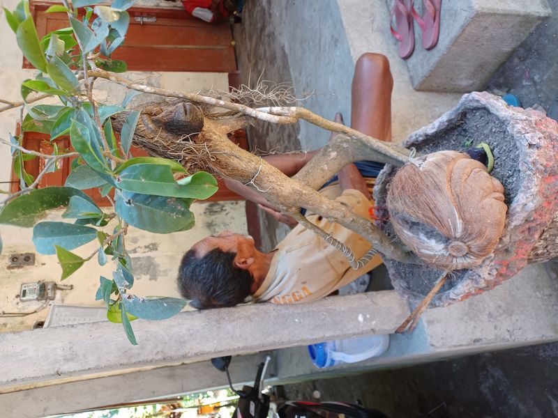 1-er-aout-des-rizieres-de-babi-aux-bains-royaux-de-tirtagangga_14