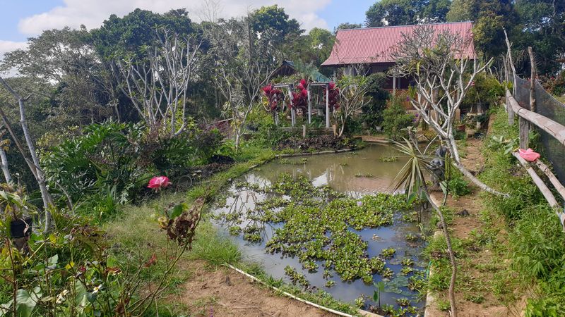 27-juillet-de-aoman-a-sebatu_7