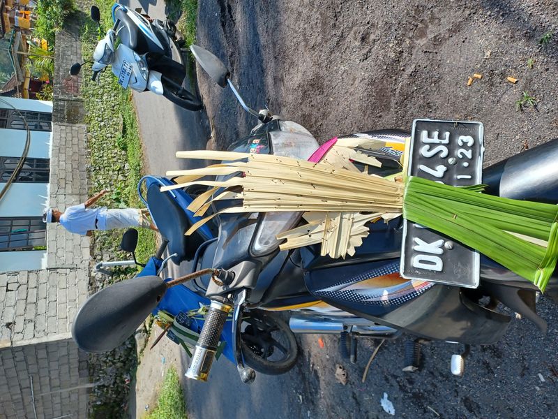 les-rizieres-de-sidemen_9