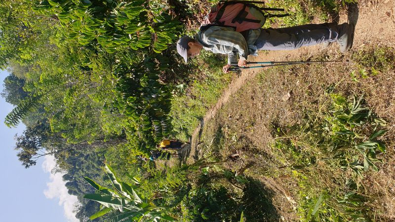 25-juillet-les-rizieres-de-pujungan-a-munduk_15