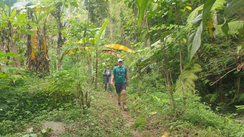 25-juillet-les-rizieres-de-pujungan-a-munduk_20