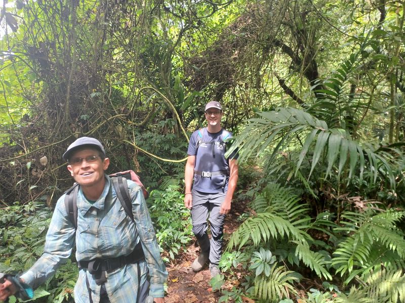 la-foret-tropicale_2