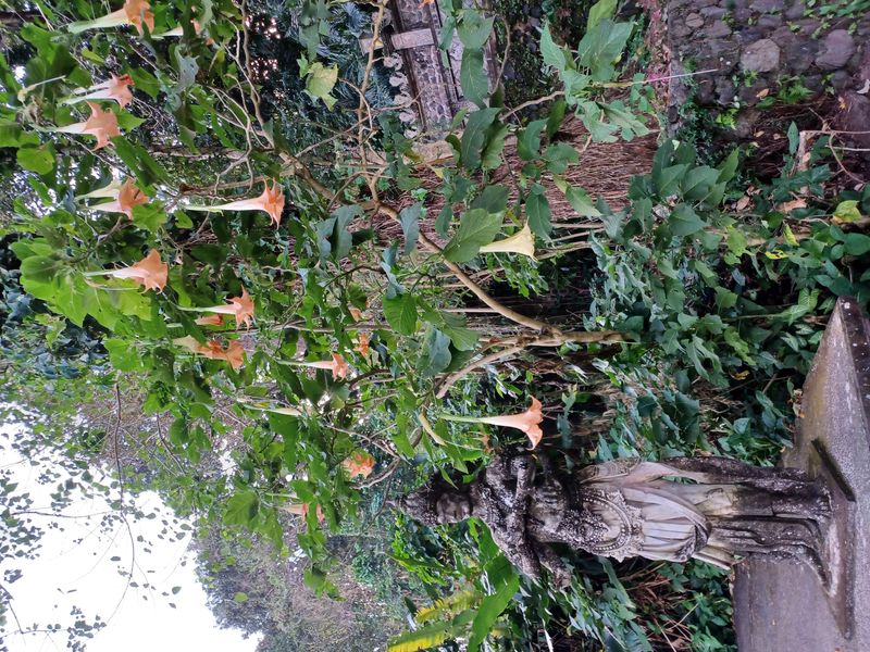 1-er-aout-des-rizieres-de-babi-aux-bains-royaux-de-tirtagangga_2