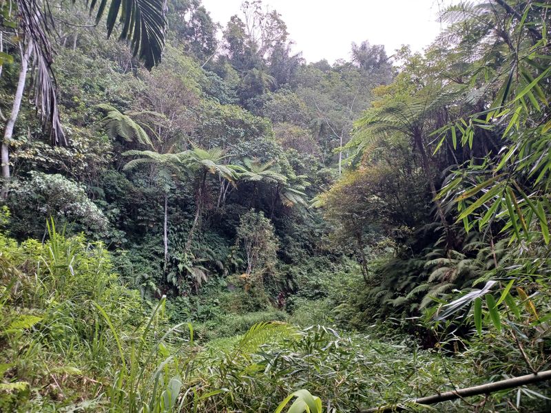 la-fin-du-parcours_5