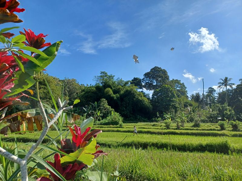 1-er-aout-des-rizieres-de-babi-aux-bains-royaux-de-tirtagangga_5