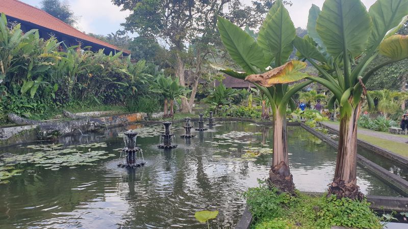 1-er-aout-des-rizieres-de-babi-aux-bains-royaux-de-tirtagangga_9