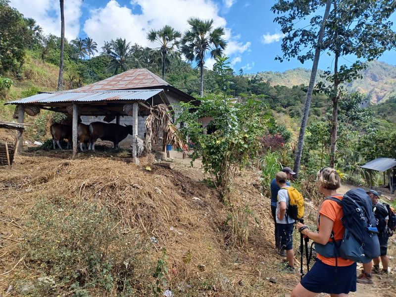 30-juillet-du-lac-batur-a-amed_4