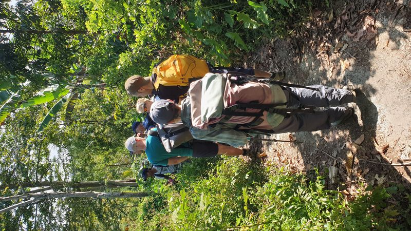 25-juillet-les-rizieres-de-pujungan-a-munduk_8