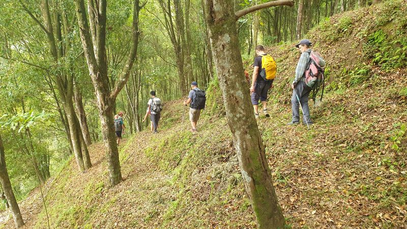 25-juillet-les-rizieres-de-pujungan-a-munduk_12