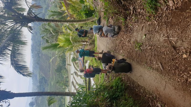 les-rizieres-de-belimbing_2