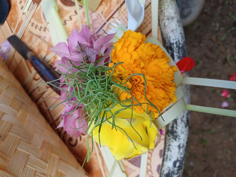 24-juillet-les-rizieres-de-belimbing-et-le-temple-de-mekori_7