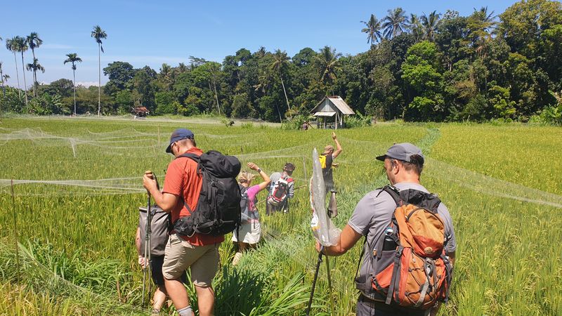 1-er-aout-des-rizieres-de-babi-aux-bains-royaux-de-tirtagangga_23