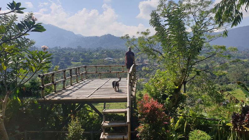 les-rizieres-de-sidemen_7