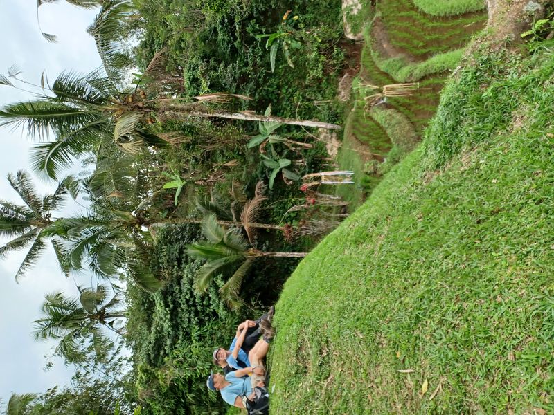 les-rizieres-de-belimbing_18