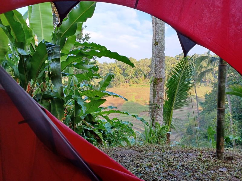 24-juillet-les-rizieres-de-belimbing-et-le-temple-de-mekori