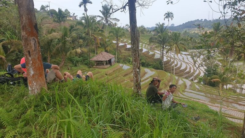 les-rizieres-de-belimbing_23