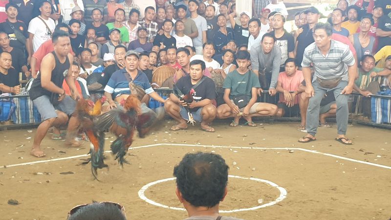 1-er-aout-des-rizieres-de-babi-aux-bains-royaux-de-tirtagangga_9