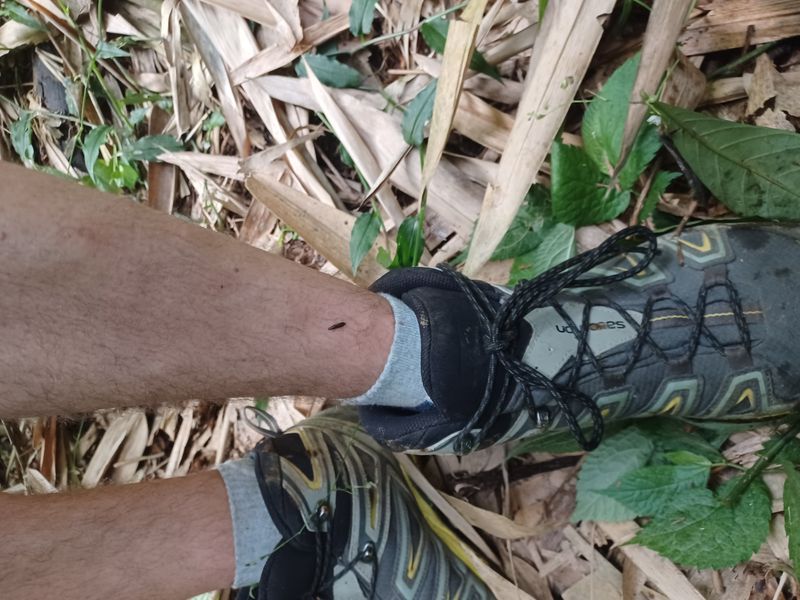 leboulement-de-terrain