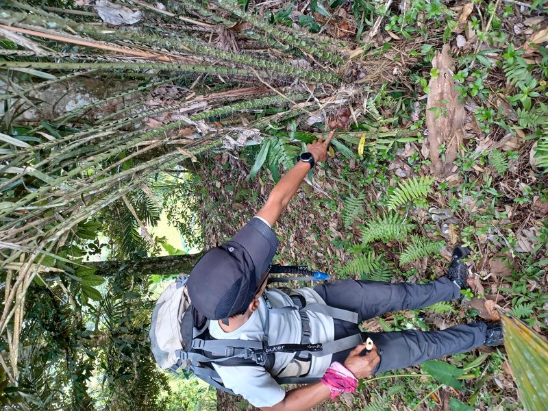 les-rizieres-de-belimbing_2