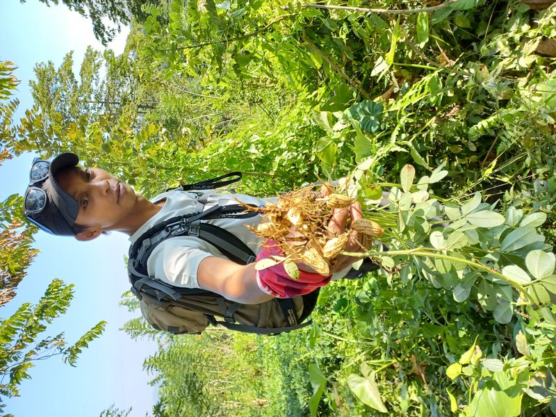 25-juillet-les-rizieres-de-pujungan-a-munduk_5