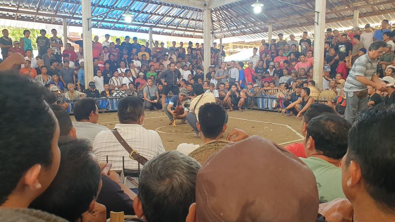 1-er-aout-des-rizieres-de-babi-aux-bains-royaux-de-tirtagangga_2