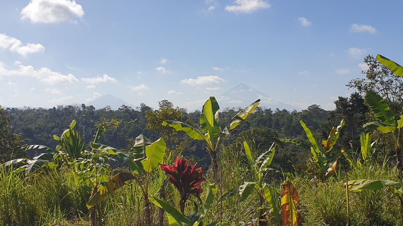 27-juillet-de-aoman-a-sebatu