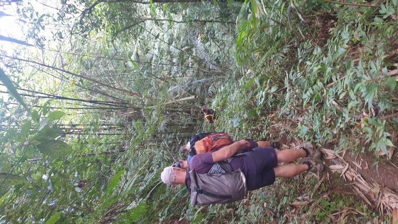 la-fin-du-parcours_2