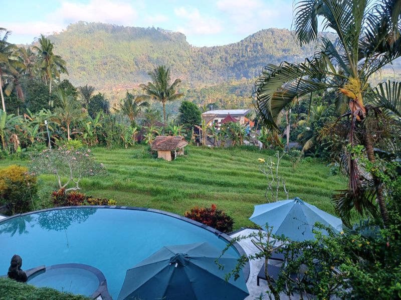 2-aout-le-temple-besakih-et-dejeuner-chez-aris