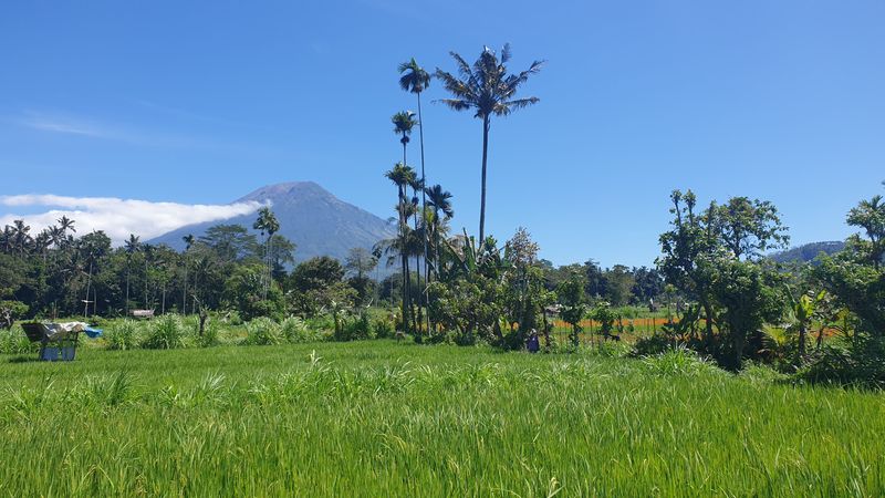 1-er-aout-des-rizieres-de-babi-aux-bains-royaux-de-tirtagangga_19