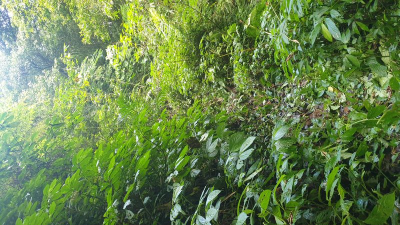 leboulement-de-terrain_4