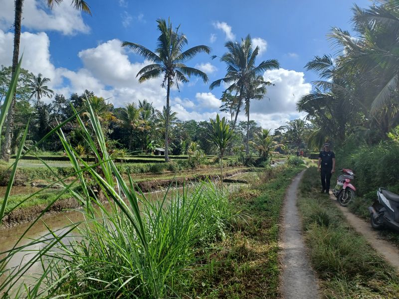 les-rizieres-de-sebatu_9