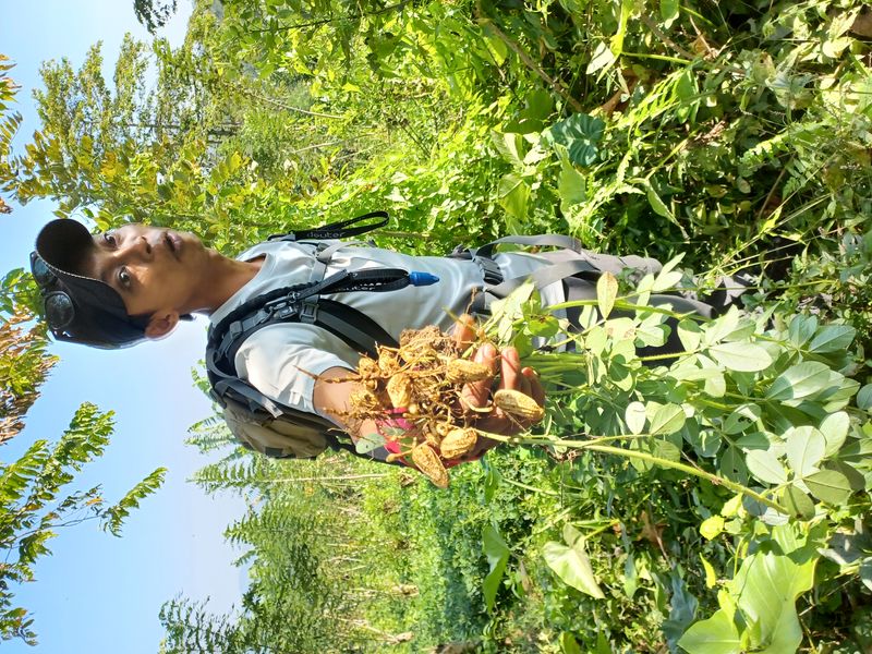 25-juillet-les-rizieres-de-pujungan-a-munduk_4