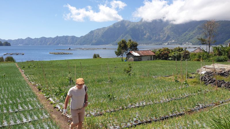 29-juillet-ascension-du-volcan-batur_2