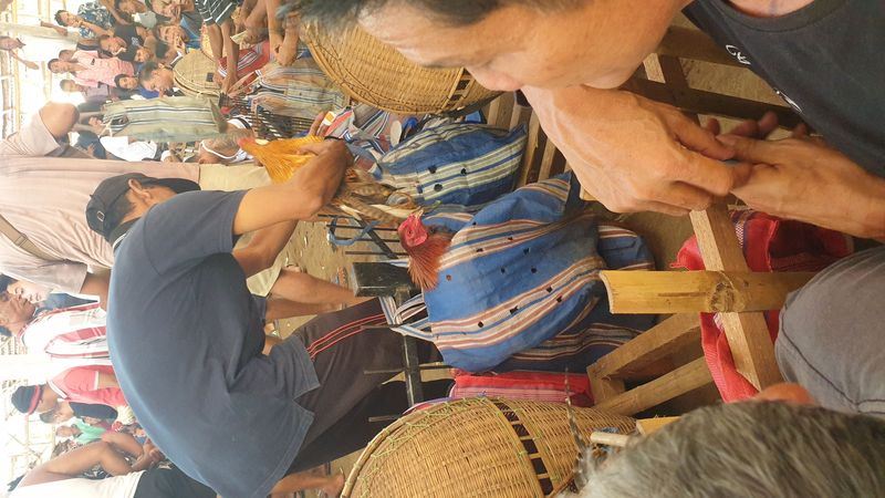 1-er-aout-des-rizieres-de-babi-aux-bains-royaux-de-tirtagangga_5