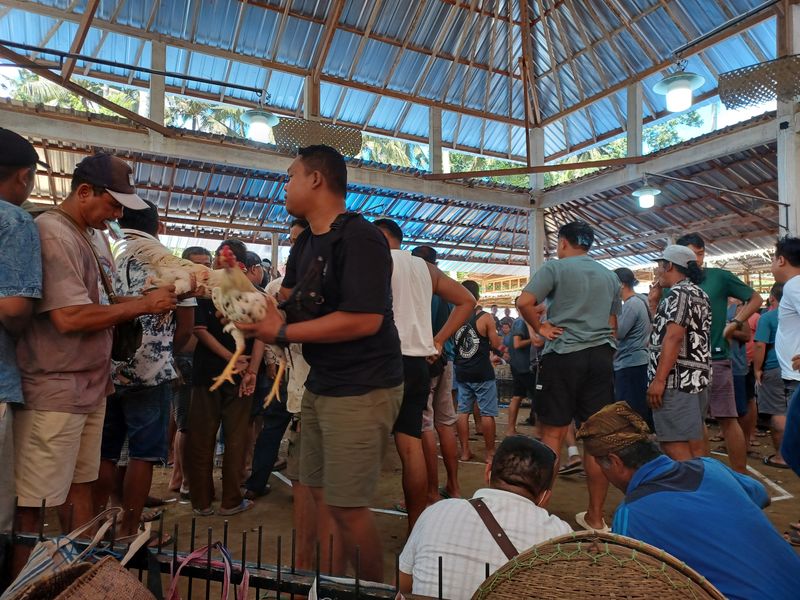 1-er-aout-des-rizieres-de-babi-aux-bains-royaux-de-tirtagangga_3