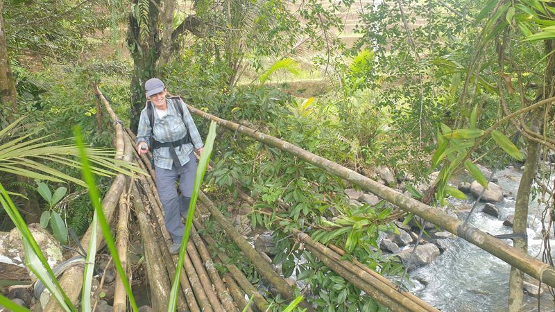 les-rizieres-de-belimbing_6