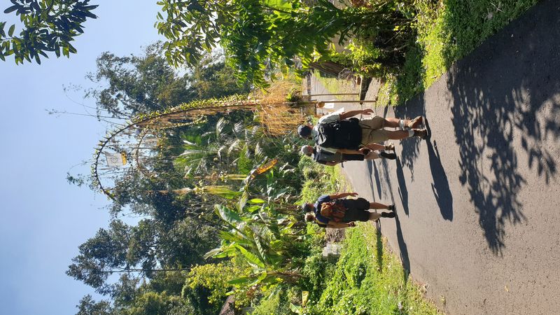 les-rizieres-de-sidemen_8