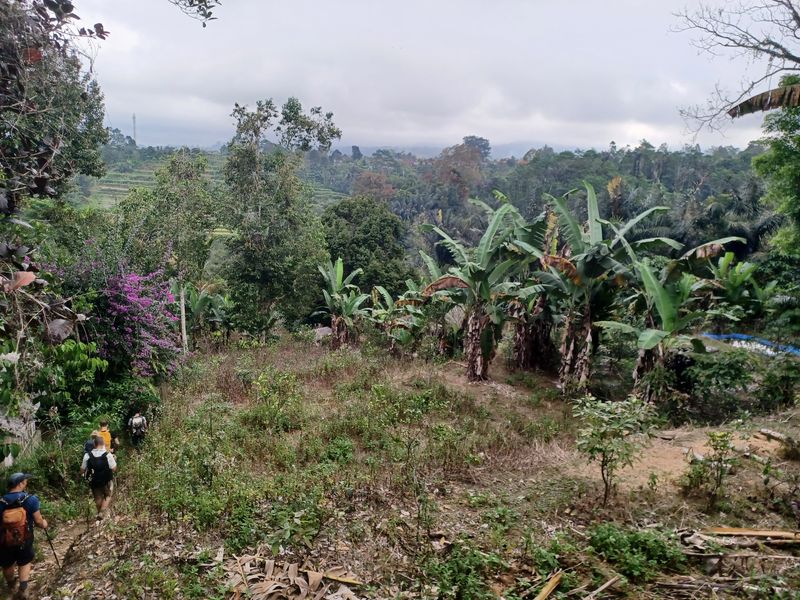 la-fin-du-parcours_5