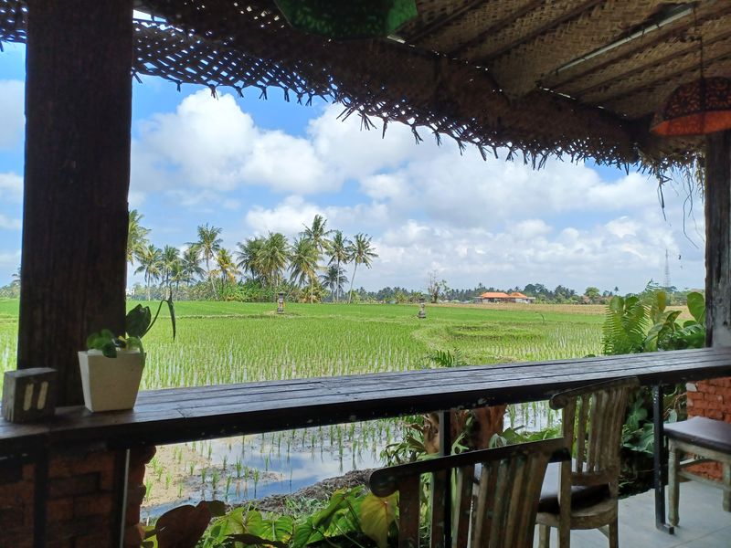 3-aout-retour-vers-jimbaran