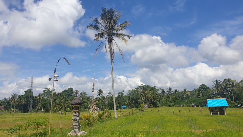 le-temple-de-gunung-kawi_11