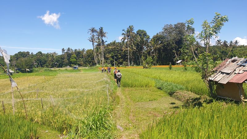 1-er-aout-des-rizieres-de-babi-aux-bains-royaux-de-tirtagangga_20