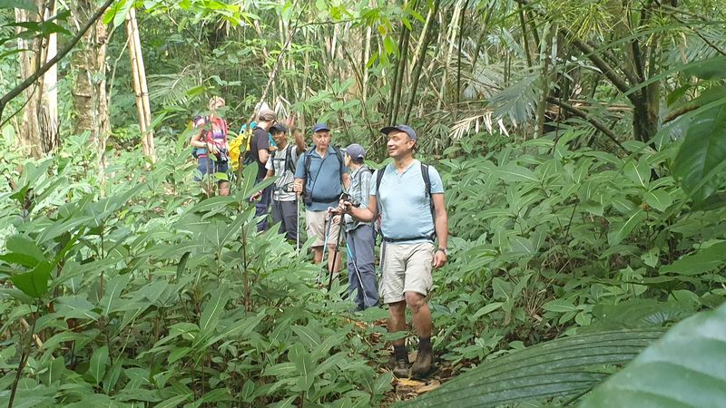 les-rizieres-de-belimbing_4